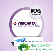 CAR-T�Ʒ�����ѪҺϵͳ��������������Ч�ʸߴ�80%����