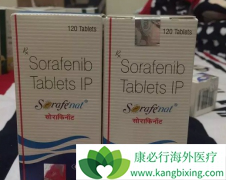 ����ҩ����������/�༪�������������D�����ܶ�̥���к�