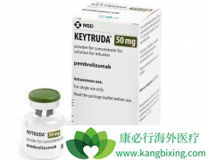 PD-1����������Ϊֹ���ɹ��İ�֢���߼������Ƽ�