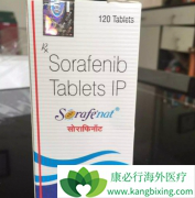 �������͵��������߷��üױ�������������Ƭ/�༪��Ч����