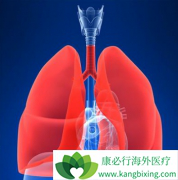 �ΰ�����Ӧ���ܶ೤ʱ���PD-1���Ƽ�����