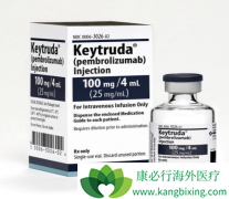 PD-1��ҩ������û��� PD-1��ҩ����������ư�֢��