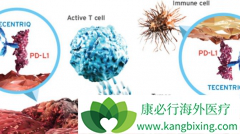 PD-L1���Ƽ�Tecentriq��עһ��Ҫ������ʱ��
