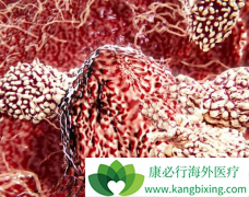 Ŀǰ�Ϸ��İ�ϣ����/̩��ɳ����ҩ���������ϼ���