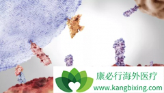 ̩��ɳ(Tagrisso)��ҩ�����¼��T790Mͻ����ָ���������Ƶ���Ҫ����