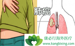 ��ϣ����(OSIMERTINIB)����ҩ��ԭ��ҩһ������ÿƬ80���˺���