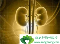 ���ض�ת������������һ�߿���ֱ��ʹ����������(SUNITINIB)����