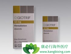 �ڶ�ΰ�����ҩ��Ϊ��Խ��Խ���˿�ʼѡ�񰢷�����(AFATINIB)?