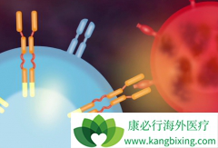 CAR-T�����Ʒ������������а�֢�������Ƶ���Ҫԭ������Щ