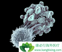 �о���ʾCAR-T����Ibrutinib�ɽ��ͻ���CRS�ķ���