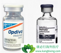 ����PD-1�����⻹����Щ�ΰ��������Ʒ�����