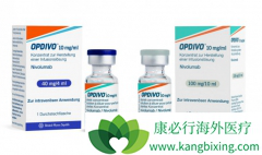 �������е�PD-1���Ƽ�ŷ���֣�Opdivo���ֱ�FDA��׼����Сϸ���ΰ�