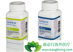 �������ᣨLynparza�����Ѿ����е�����֢PARP���Ƽ�֮һ