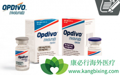 ��֢�����Ʒ�PD-1���Ƽ�Opdivo�����׼����Сϸ���ΰ�����