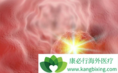 ʳ����״ϸ���������ܵ������鵥��/̩���������Ƕ���