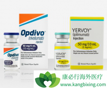 PD-1�����������ҹ���������ҩ��������ٶȼ�¼