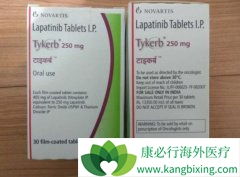 LAPATINIB���Ͽ��������������ER2�������ٰ���ת��