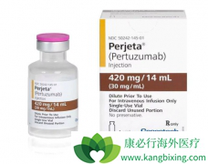 �����鵥���ǳ��������鵥������һ��HER2����ҩ��