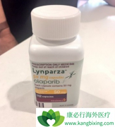 ����PARP���Ƽ���������(Olaparib)ʱ���ܾ׽�ѹ��