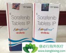 �������ᣨsorafenib����һ������������͸ΰ������������յİ���ҩ