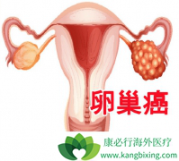 ��������(Olaparib)�����ѳ���ʱ�ǵ�����ҩ����������ҩ������