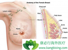 �ӳ����������ٰ��ڷ��������ǲ�����Ī���һ���AI