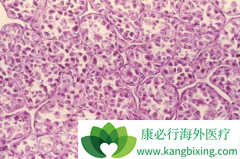 ����������������״����֯����Ч����Ϊ����