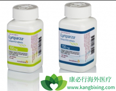 �й��ѳ�������ӭ���˵�һ������ҩ��PARP���Ƽ���������������׿��