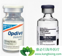 PD-1���Ƽ�������Ӧ������������PD-1���Ƽ�������Ӧ����Ч�Ĺ�ϵ