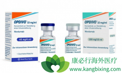 �ڹ���ʹ��PD-1����Opdivo��Keytruda����ǰ�Ƿ���Ҫ������ЧԤ��