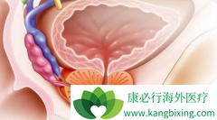 ǰ���ٰ�ҩ�ﰢ������(Zytiga)�м����汾���ĸ��Լ۱ȸߣ�