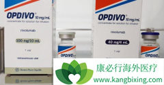 PD-1�����Ʒ�Opdivo��Ϊ��Сϸ���ΰ����׸��������Ʒ���