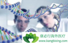 ���������û����Ʒ��ܹ���������ɭ�ۺ�����