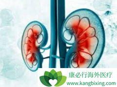 ��������(XL184)�ɺܺõ���ת����������ҩ