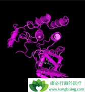 ��������(Dabrafenib)���ʹ�ã�����Щʹ�����ƣ�