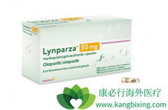 �����������������ᣩҲ�����ڽ��ܹ����ƻ����Ʒ���ǰ�а�����