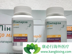 �ѳ������߳�����ҩ�����������⻹����ʹ��VEGFR���Ƽ�����