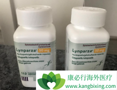 PARP���Ƽ������ڹ������еİ�������������Щҩ�