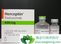 �����͡�������鵥�������Ƶ����ٰ�HER2����ҩ������Щ��