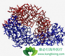 �����鵥��(Bevacizumab)�ǶԲ������е��ѳ������ߵ����Ʒ�