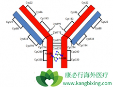 �������Ī«����(Cyramza)������Ч����Ӱ����