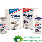 ����FDA����׼��PD-1����ҩ��Opdivo������������Ч������