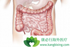 ������(REGORAFENIB)�����ʹ�᳦�����ߵ����������