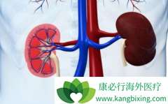 ����ҩ����������(Sunitinib)������Ӧʱ��������������