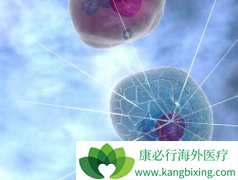 �ϼ�����³�����������ܰͰ�������Щ����