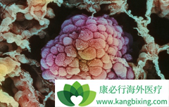 ������ͻ��ķΰ����߿��Է��ÿ�������(Crizotinib)