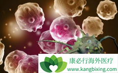 BEACON���Ƶİ�ϣ����(Tagrix)�¾ɿ��װ����ʲô��ͬ