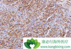 ��������(Nilotinib)����Ч���������Ծ�ϸ�������ߵļ�����չ