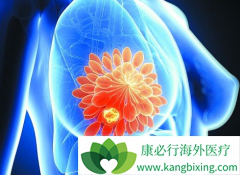 ��άĪ˾/�����������ڷ���ҩ����й��������ٰ���������Ч��