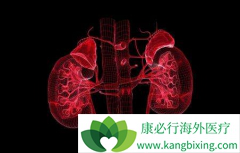 RECORD-4�о�ȷ������άĪ˾(Everolimus)�ڶ��ߵ�PFS����